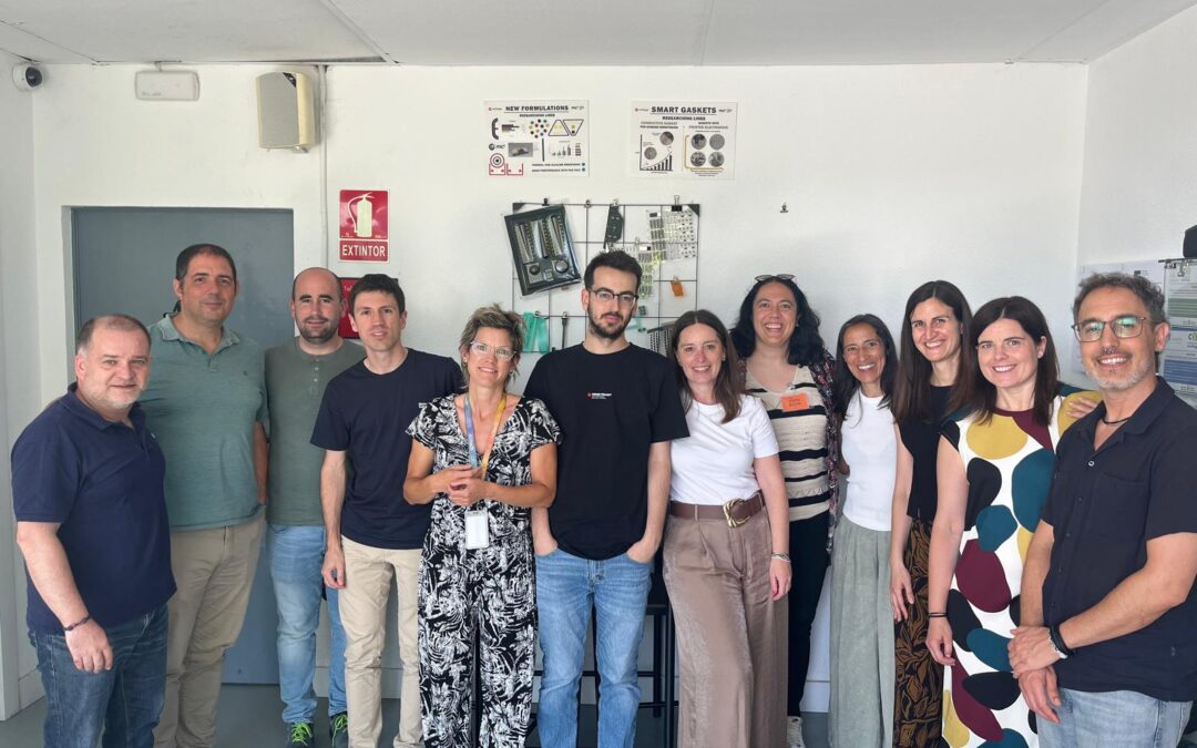 Finaliza el proyecto PLAIISENS