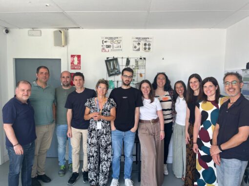 FINALIZA PROYECTO PLAIISENS
